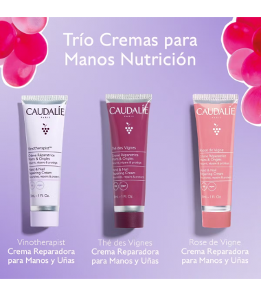 CAUDALIE TRIO CREMAS DE MANOS 30 ML